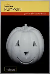 Charles Ray, Pumpkin Poster, 2006, Chromogenic print in colors, on wove paper, the full sheet, contained in the original metal artist's frame