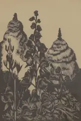 John Nash, Monkshood, wood engraving