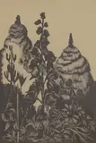 John Nash, Monkshood, wood engraving