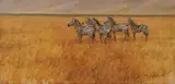 Henry Koehler, Ngorongoro Zebras, oil on canvas