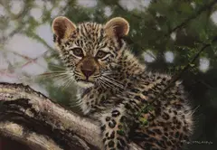 Pip McGarry, Leopard cub, oil on canvas