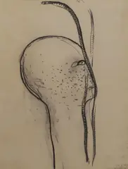 Werner Knaupp, Head with snakes, charcoal