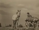 Gualberto Davolio Marani, Zingaresca, 1950, photograph