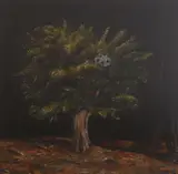 Julian Perry, Hubcap in a tree, oil on board