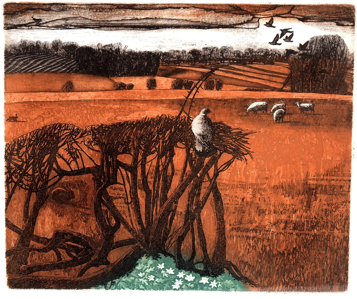 Robert Greenhalf, Wood Animals, etching