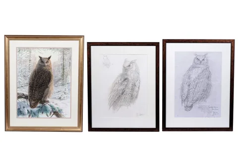 James Alder, Eagle Owl, Kielder, Northumberland, watercolour