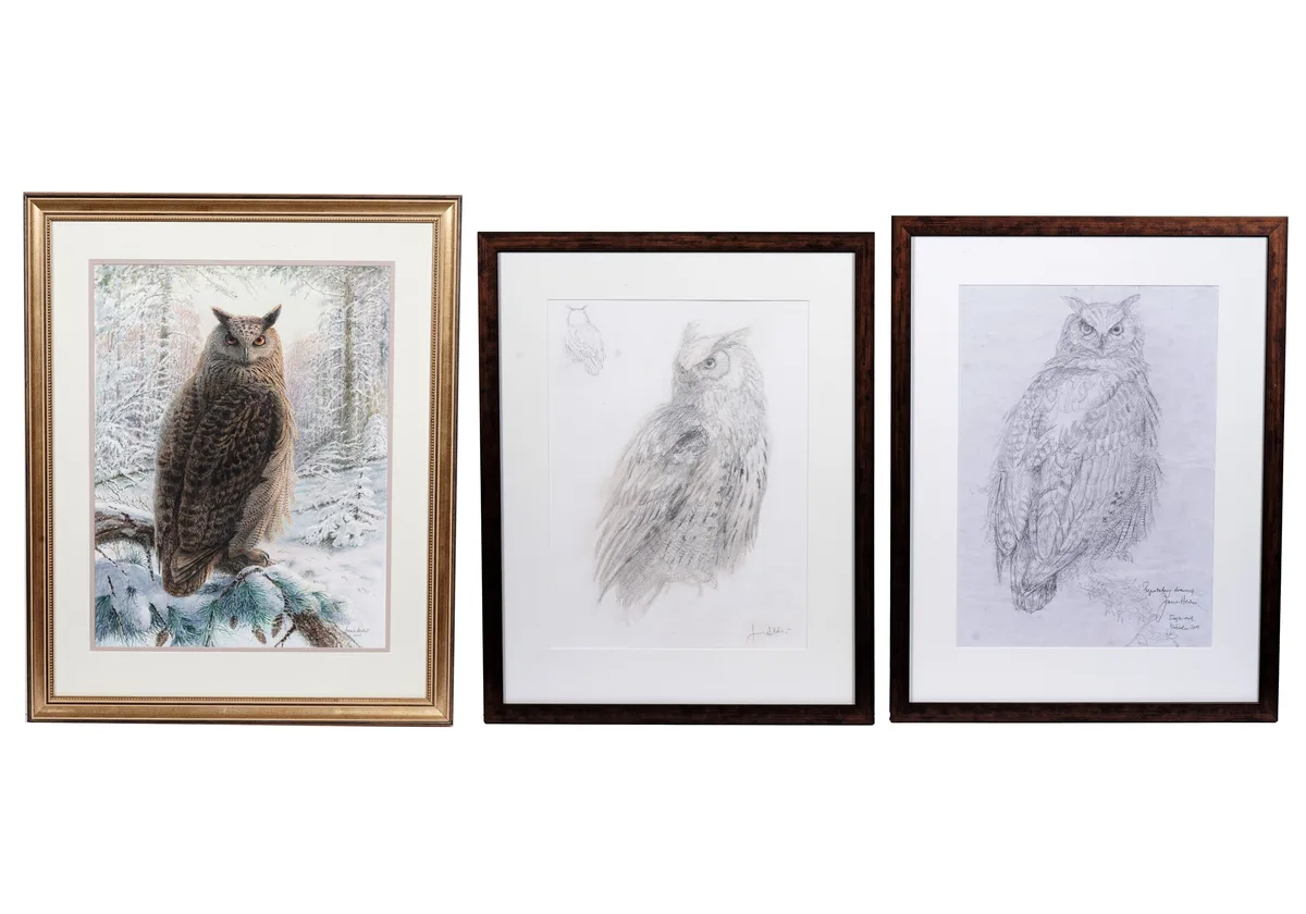 James Alder, Eagle Owl, Kielder, Northumberland, watercolour