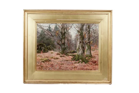 Ralph William Bardill, Beech Wood in Autumn, watercolour