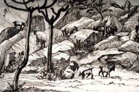An Italian Goatherd by Job Nixon, pencil signed to the margin, sold Nov 2025