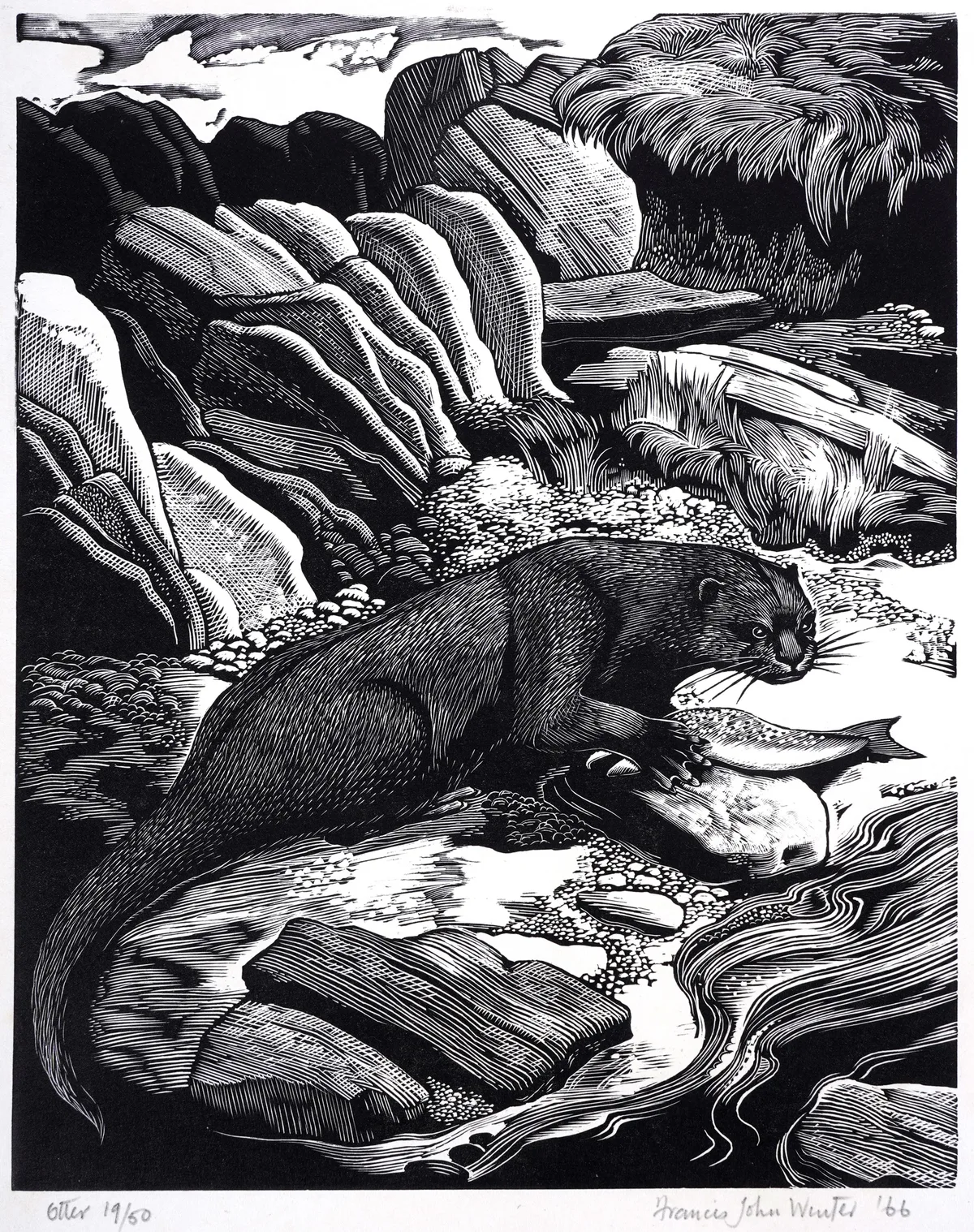 Francis John Winter, Otter, pencil signed and titled to the margin