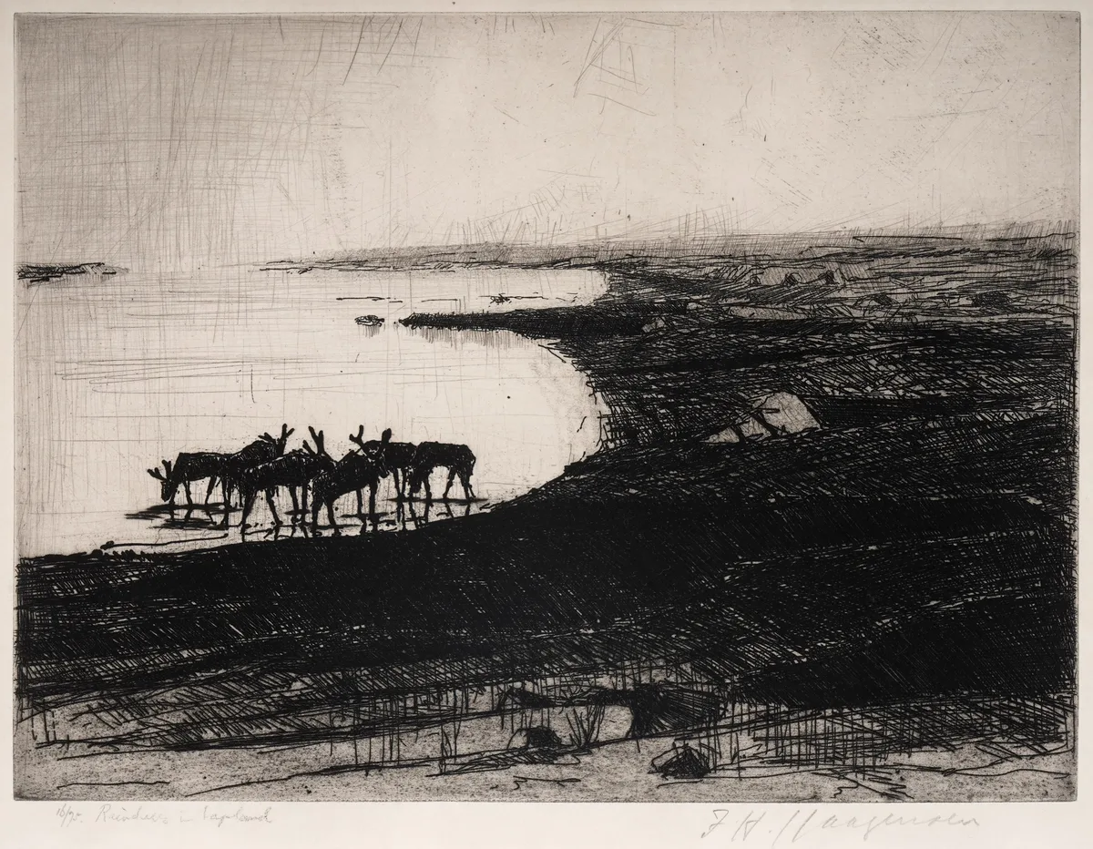 Frederick Hans Haagensen, Reindeer in Lapland, pencil signed and titled