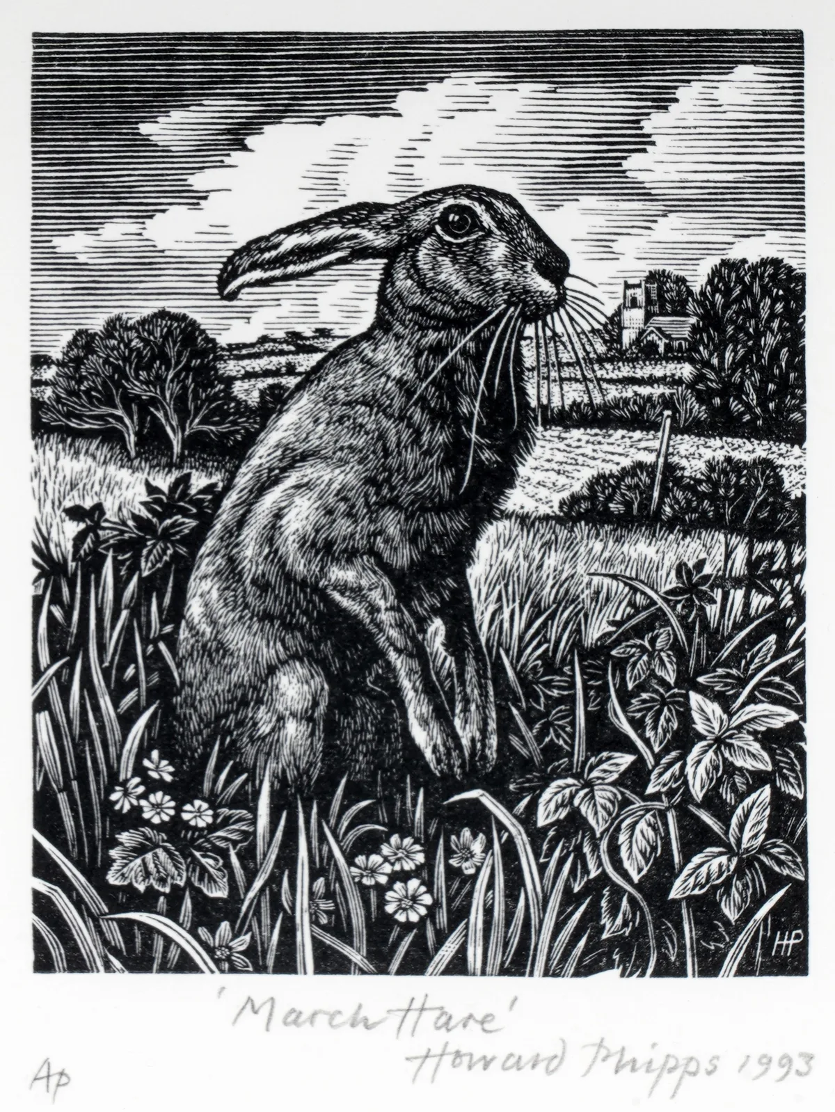 Howard Phipps, March Hare, wood engraving, artist's proof