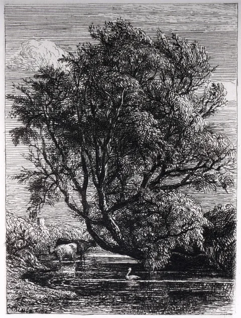 Samuel Palmer, The Willow, etching
