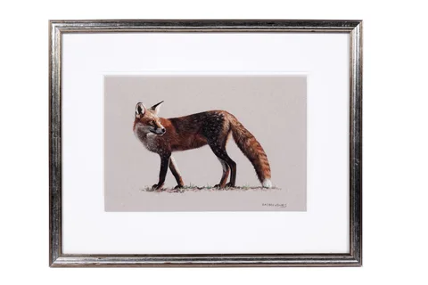 Jason Lowes, Fox, watercolour and gouache