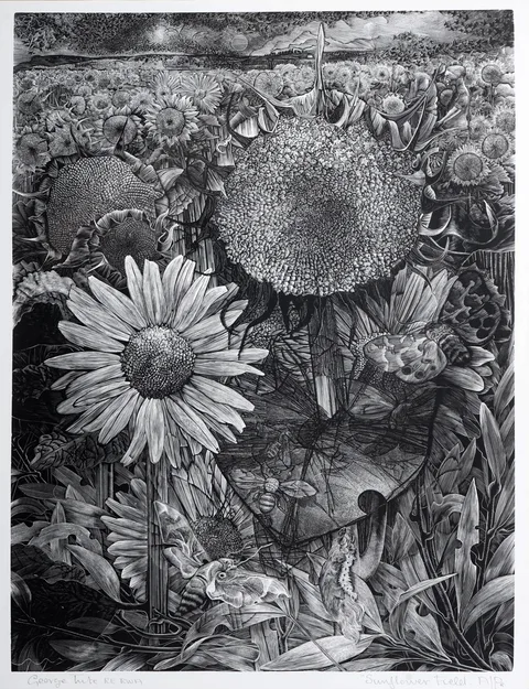 George William Tute, Sunflower Field, pencil signed and titled
