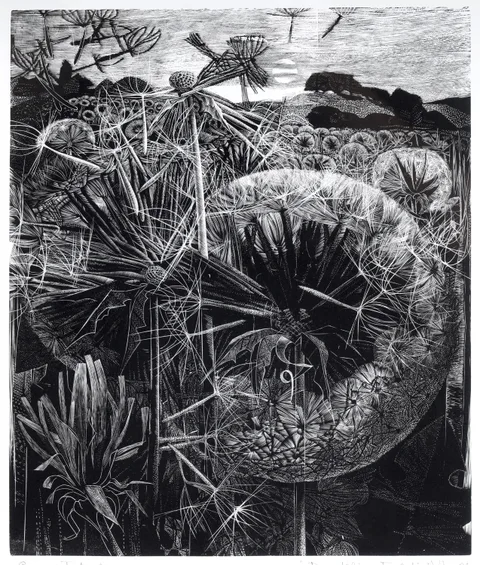 George William Tute, Dandelion Field, pencil signed, titled and dated 81