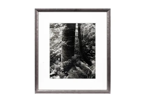Fay Godwin, Remains of Elmet III, gelatin silver print