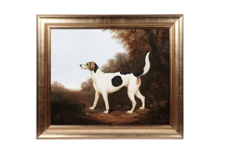 Andrew Alexander, Portrait of a foxhound, oil on board