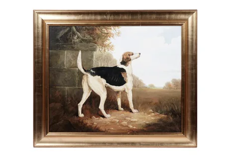 Andrew Alexander, Portrait of a foxhound, oil on board