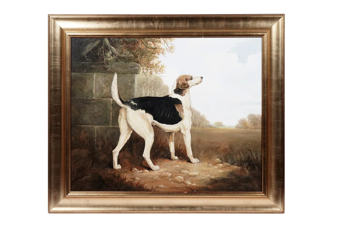 Andrew Alexander, Portrait of a foxhound, oil on board