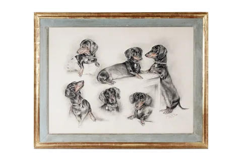 Xavier de Poret, The Postures of a Dachshund, pastel on paper