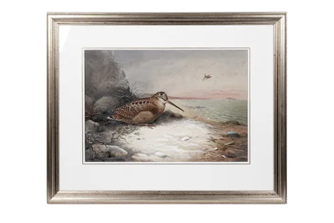 John Duncan, Woodcock (Just Arrived), watercolour