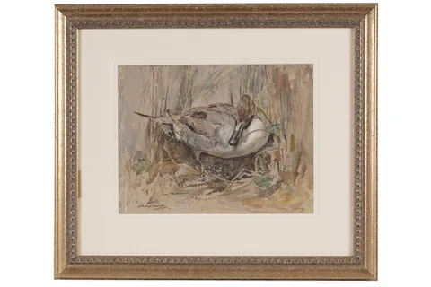 Mabel Dawson, A Duck Amongst the Reeds, watercolour