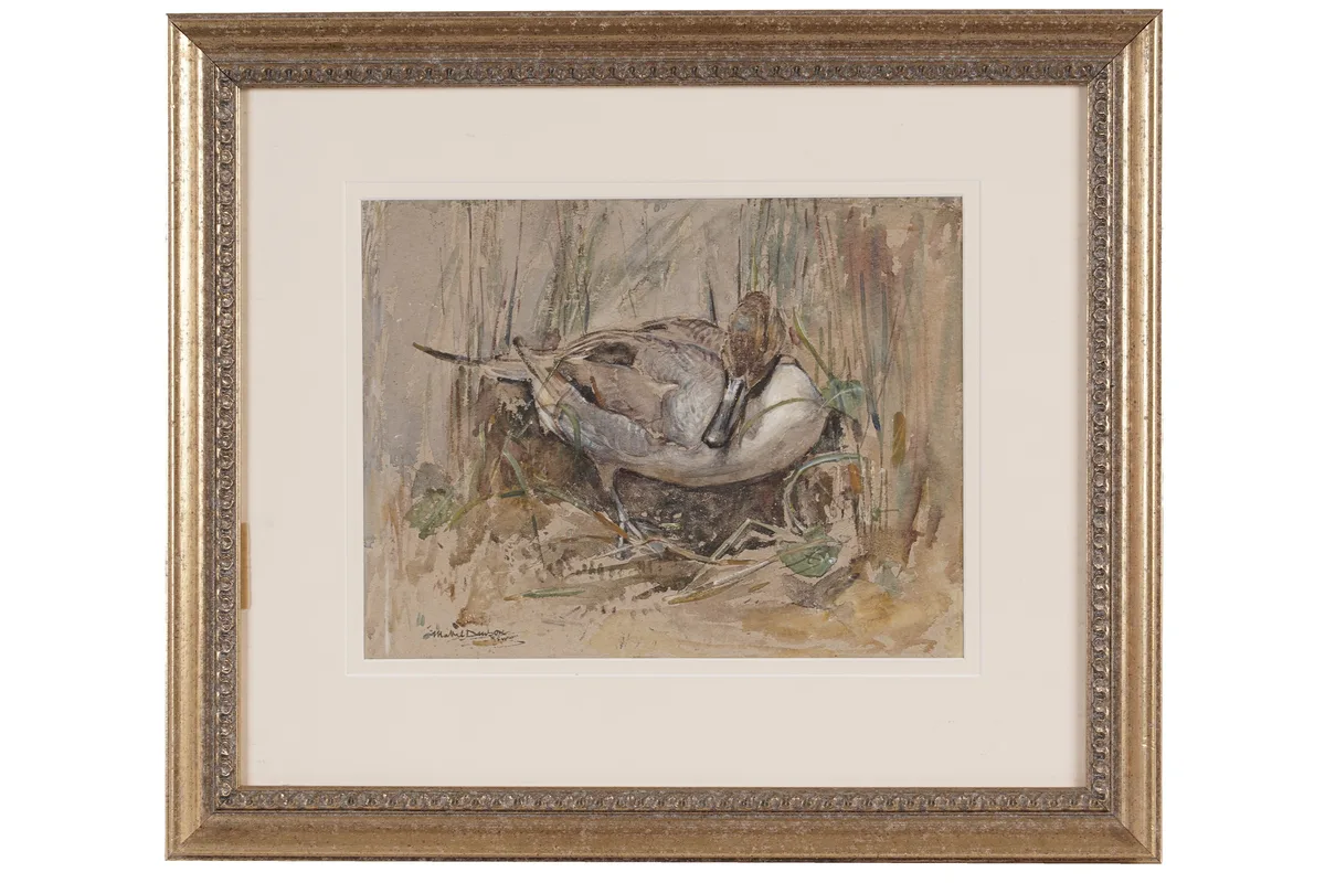 Mabel Dawson, A Duck Amongst the Reeds, watercolour