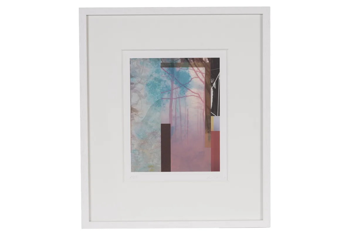 Francisco Nicolás, Forest XVIII, limited edition dye sublimation print, 1/25