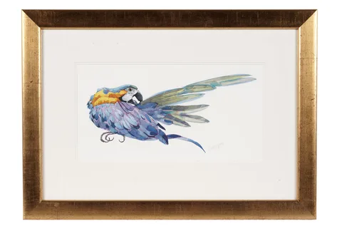Parrot Preening by Mary Ann Rogers, watercolour, sold Oct 2024