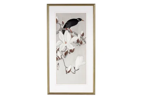 Ohara Koson, Myna on Magnolia Branch, woodblock print