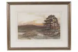 Harry Sticks, Cumberland