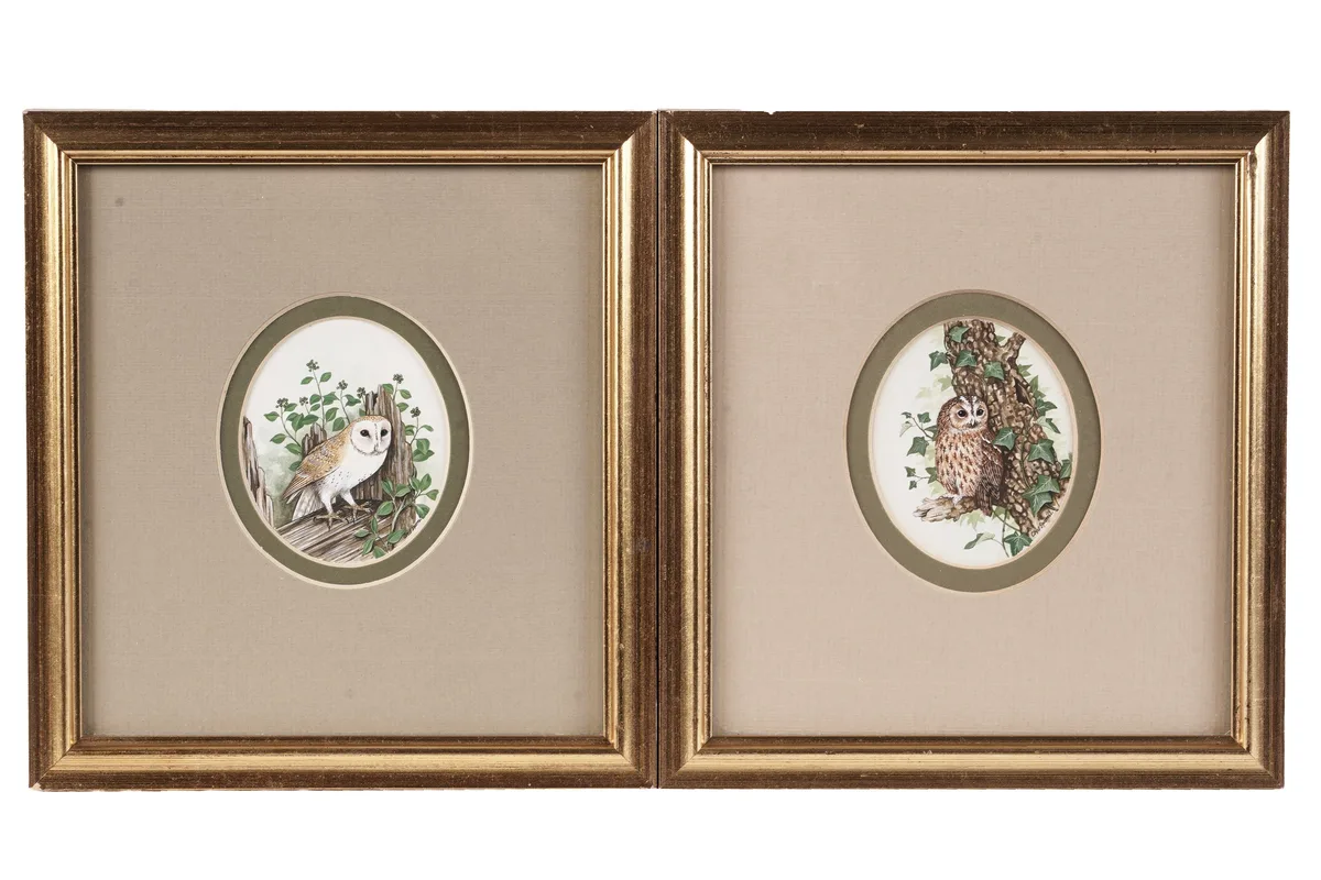 Chris Sparrow, Barn Owl and Tawny Owl miniatures, watercolour