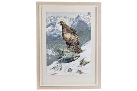 Hilary Burn, Golden Eagle in the Karwendel Alps, gouache