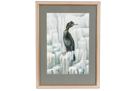Hilary Burn, Shag, gouache