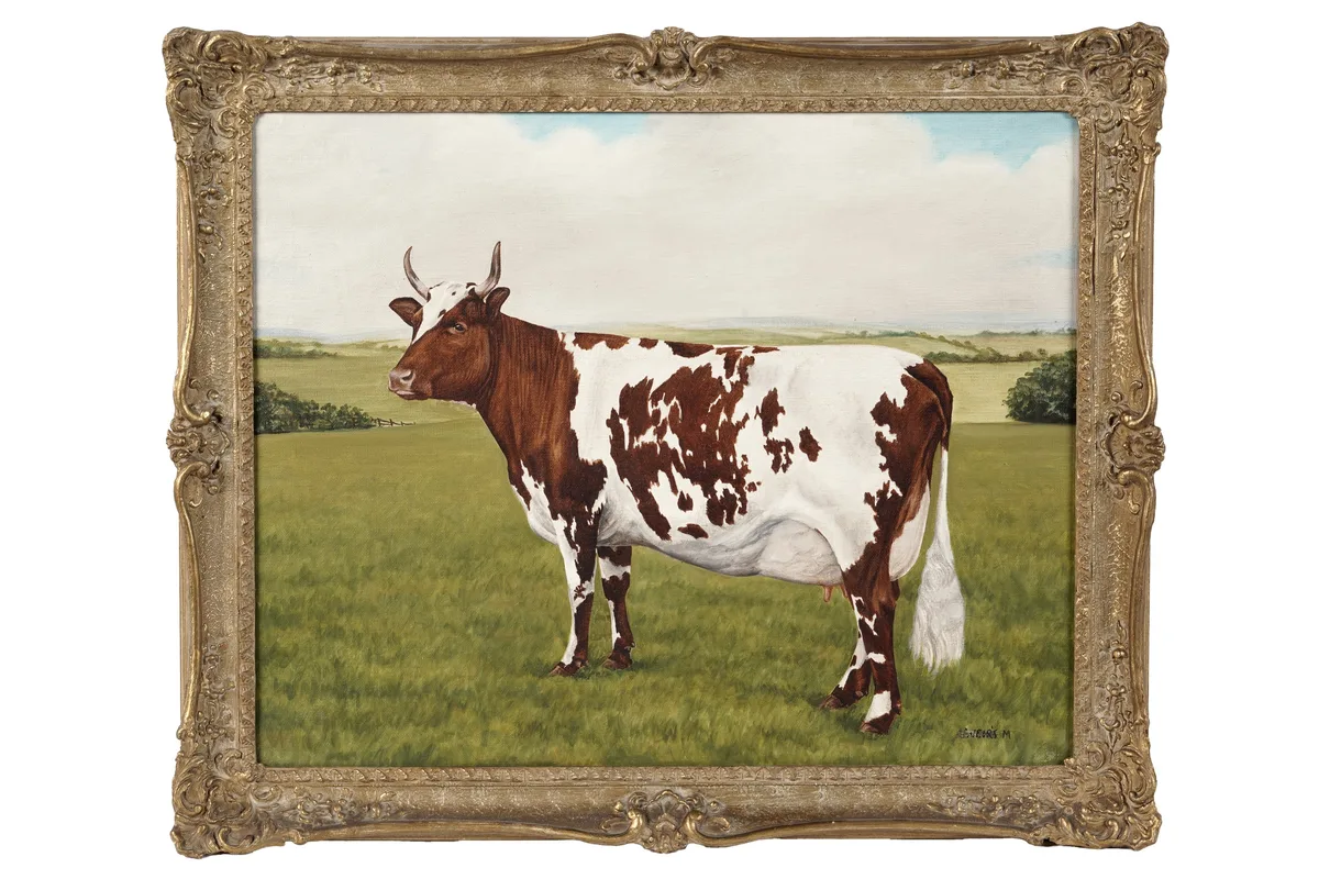 Weirs, Portrait of an Ayrshire Cow, oil on canvas