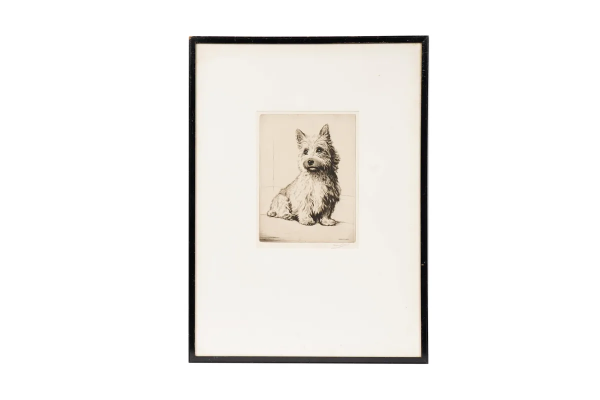 Graham Clilverd, Craigie - West Highland Terrier, drypoint