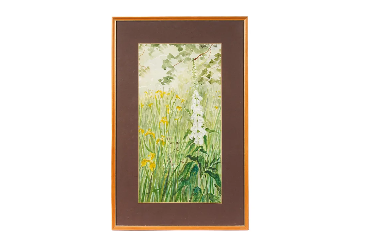 Sadie Allen, The White Foxglove, watercolour