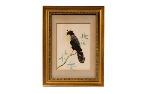 19th Century, A featherwork picture of a bird, watercolour