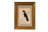 19th Century, A featherwork picture of a bird