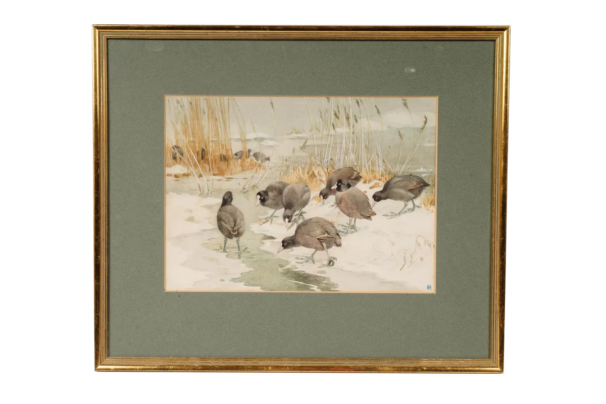 Winifred Austen, Coots in Winter Reeds, watercolour
