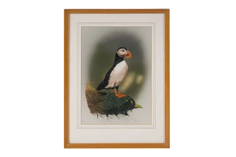 Alan Taylor, Puffin, gouache on paper