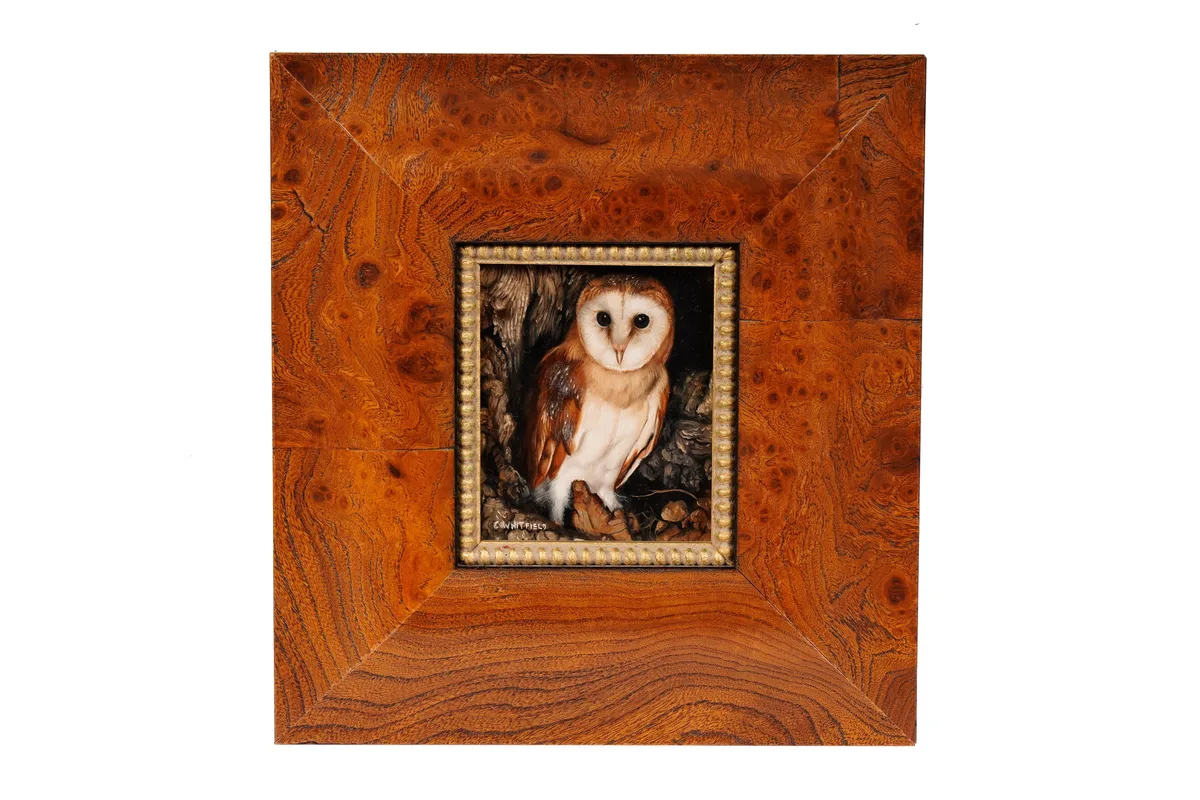 Carl Whitfield, Barn Owl, oil on board