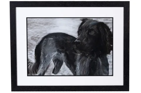 Jenny Watts, Distraction, pastel on paper