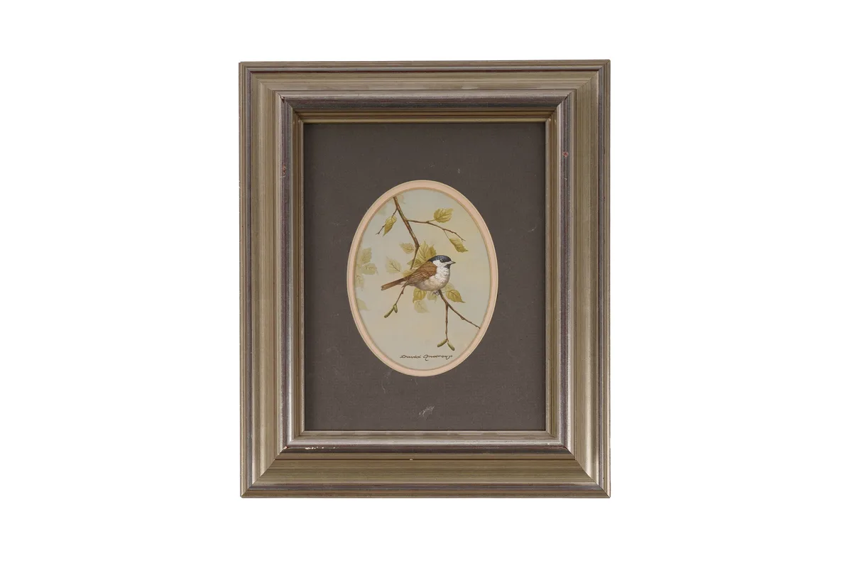Brian S. Cutmore, A bird on a bough, gouache on paper