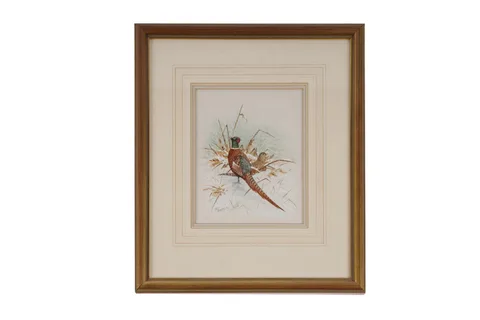 Chris Sparrow, Pheasants in the Snow, watercolour