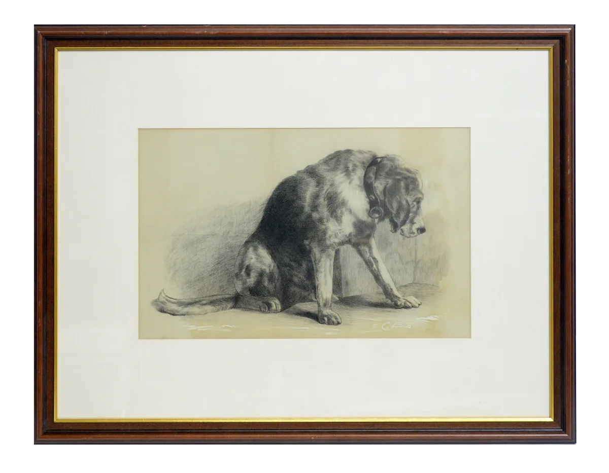 C. B. S, Portrait of a Bloodhound, graphite and Chinese white