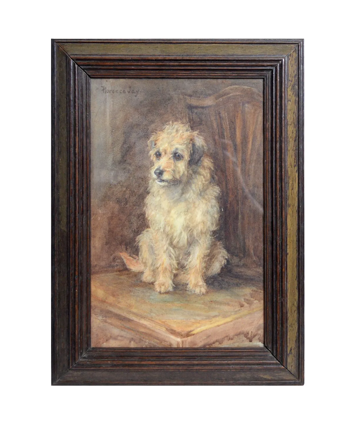 Florence Jay, Portrait of a Border Terrier, watercolour
