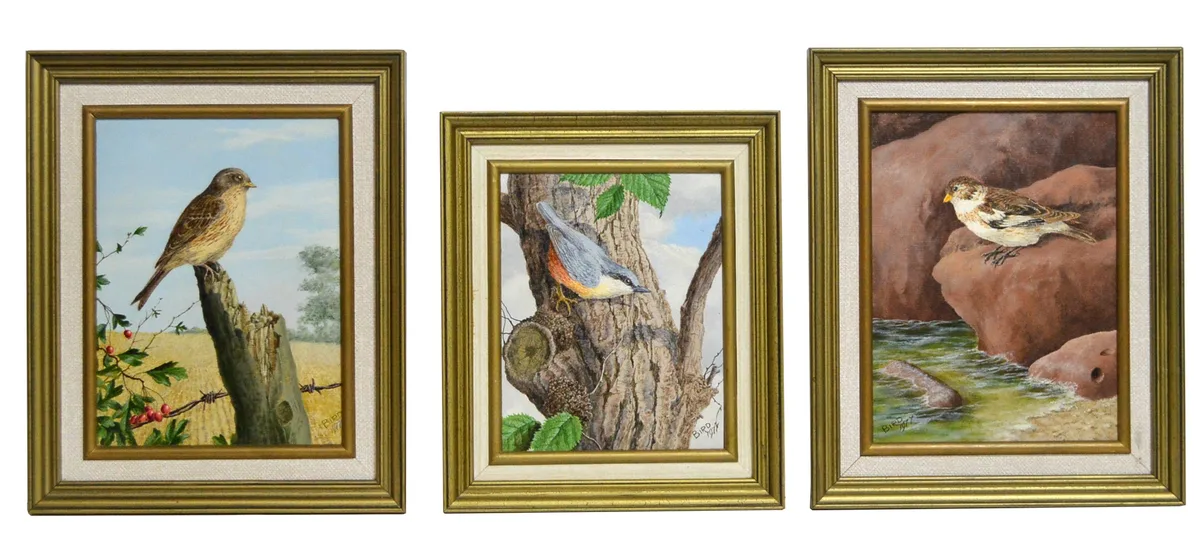 William Bird, Three Ornithological Studies, oil on board