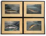 19th Century British School, Four fish studies